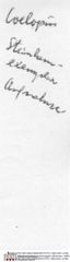 Etikett zuCoelopus hoheneggeri (Moericke, 1889) (NHMW-AFW-GEO-BACHMAYER-FOTO-1990-0041-2789)